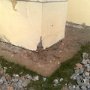 Zdjęcie opaski betonowej i wywiezienie gruzu 